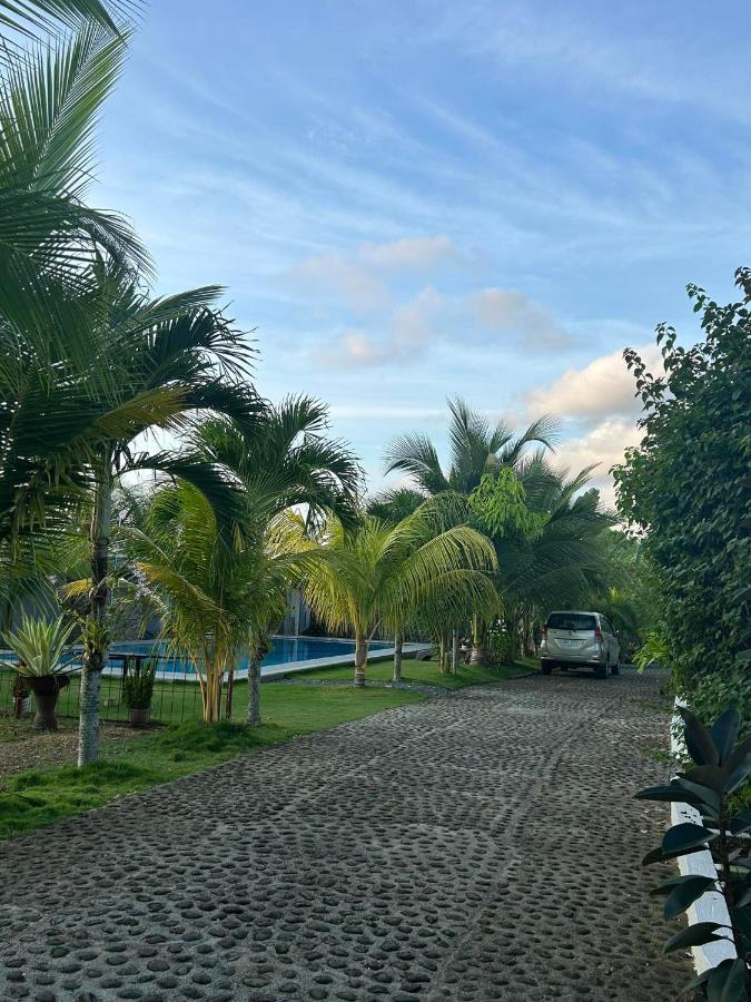Hill View Home Stay Panglao Eksteriør billede